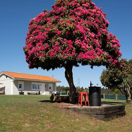 A Casina Dos Veiras - 3km Antes De Bruma * Abegondo